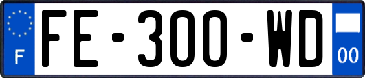 FE-300-WD