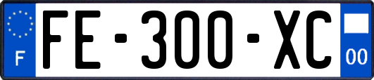 FE-300-XC