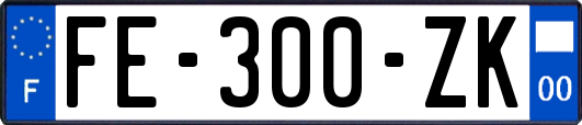 FE-300-ZK