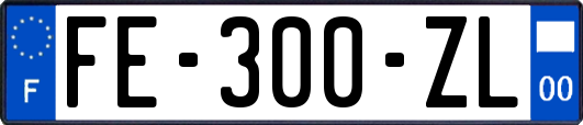 FE-300-ZL