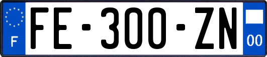 FE-300-ZN