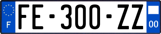 FE-300-ZZ