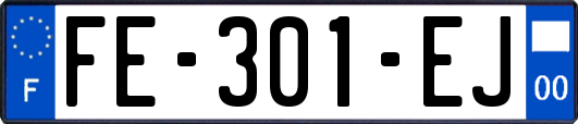 FE-301-EJ