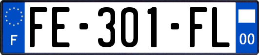 FE-301-FL