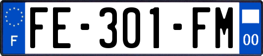FE-301-FM