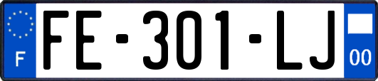 FE-301-LJ
