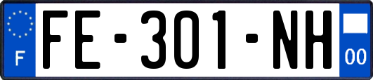 FE-301-NH