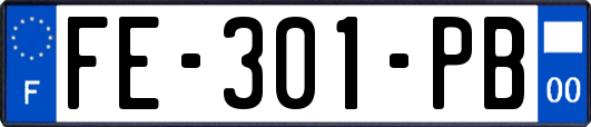FE-301-PB