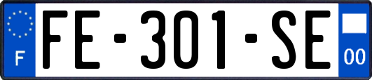 FE-301-SE