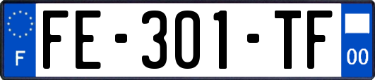 FE-301-TF