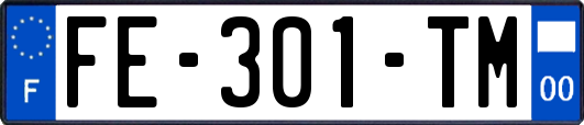 FE-301-TM