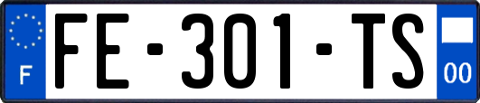 FE-301-TS
