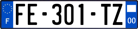 FE-301-TZ