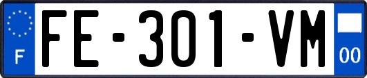 FE-301-VM