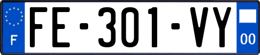 FE-301-VY