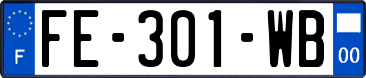 FE-301-WB