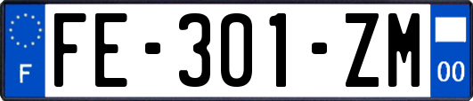 FE-301-ZM