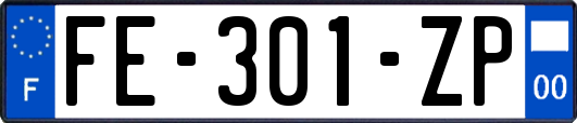 FE-301-ZP