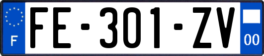 FE-301-ZV