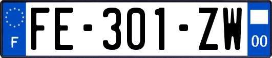 FE-301-ZW