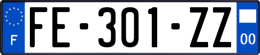 FE-301-ZZ