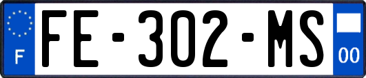 FE-302-MS