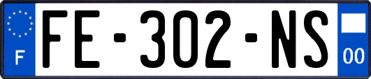 FE-302-NS