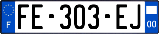 FE-303-EJ