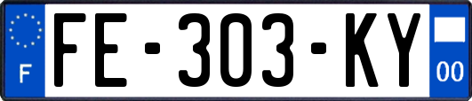 FE-303-KY