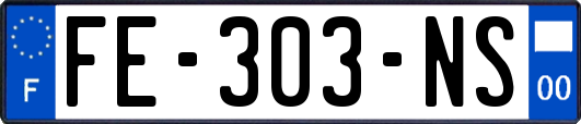 FE-303-NS