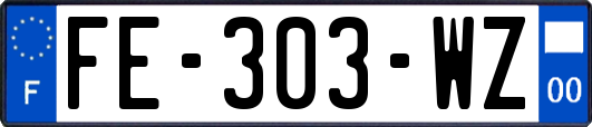 FE-303-WZ