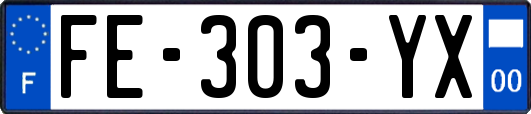 FE-303-YX