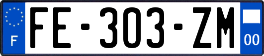 FE-303-ZM