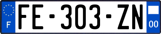 FE-303-ZN