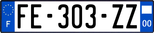 FE-303-ZZ