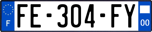 FE-304-FY