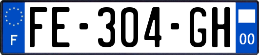 FE-304-GH