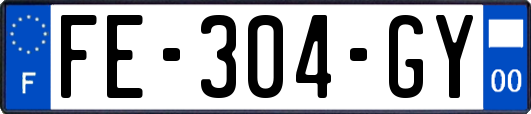 FE-304-GY