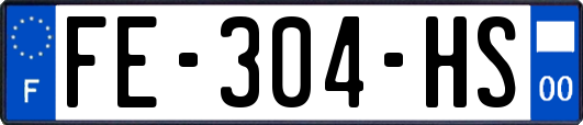 FE-304-HS
