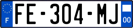 FE-304-MJ