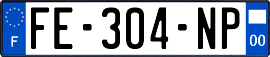 FE-304-NP