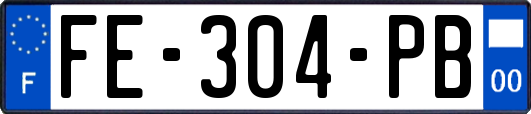 FE-304-PB