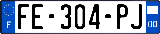 FE-304-PJ
