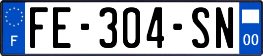 FE-304-SN