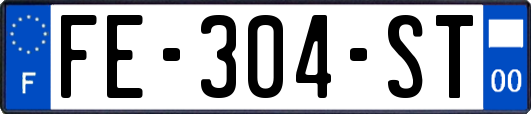 FE-304-ST