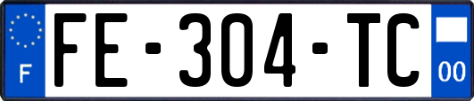 FE-304-TC