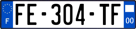 FE-304-TF