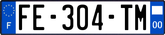 FE-304-TM