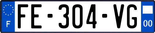 FE-304-VG