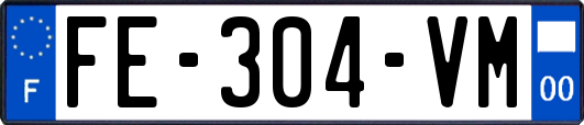 FE-304-VM